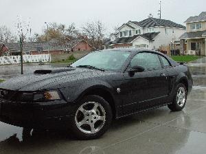 Mustang2 029.jpg